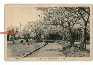 XZH5063●長崎 肥前大村神社入口の桜花 *傷み有り【絵葉書】