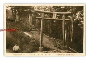 XZH1694●栃木 奥日光国立公園候補地 金精神社 *傷み有り【絵葉書】