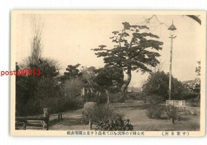 XZI1066●千葉 千葉名所 天女降下の伝説を以て名高き千葉公園羽衣松 *傷み有り【絵葉書】