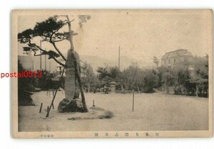 XZI3596●長野 松本市深志公園 *傷み有り【絵葉書】