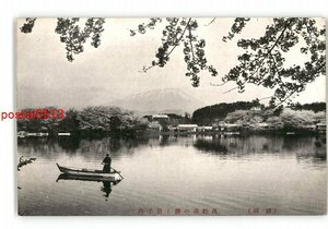 XZJ6296【新規】岩手 盛岡 高松池の桜と岩手山 *傷み有り【絵葉書】