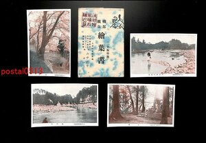 FSA2116●群馬 磯部鉱泉絵葉書 袋付8枚 聖明寺 松岸寺 鉱泉橋 *傷み有り【絵葉書】