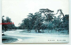 Xf8453●福岡 大濠公園 逍遙道路【絵葉書】