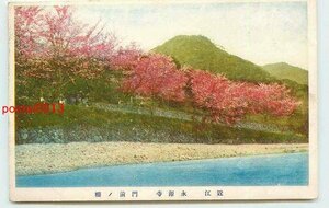 Xk1735●滋賀 永源寺 門前の桜 *アルバム跡有り k 【絵葉書】