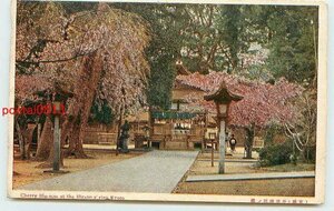 Xn9972●京都 平野神社 桜 *傷み有り k 【絵葉書】