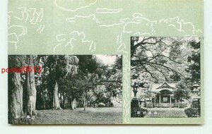 G7072●宮崎 都農神社 西都の原【絵葉書】