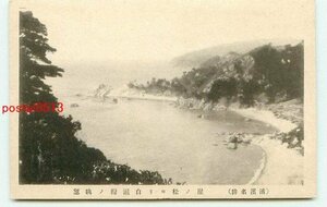 H9143●新潟？ 浦浜 崖の松より白瀬湾【絵葉書】