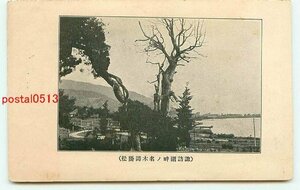 J8896●長野 諏訪湖 御掛松【絵葉書】