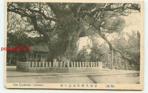 L5543●福岡 宇美八幡宮 湯蓋の森【絵葉書】