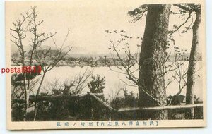 L2082●神奈川 金沢八景 洲崎晴嵐【絵葉書】