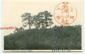 L4025●島根 美保の関 五本松【絵葉書】