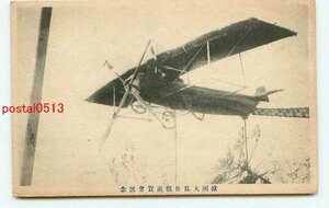 J6125●欧州大乱休戦祝賀会 飛行機模型？【絵葉書】