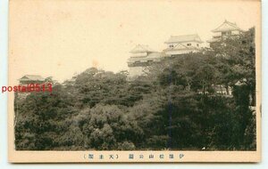 L1757●愛媛 松山公園 松山城 天守閣【絵葉書】