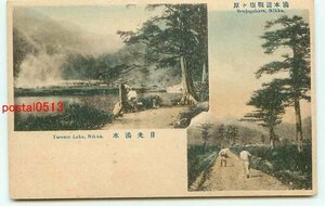 M6625●栃木 日光 彩色 湯本道戦場ヶ原【絵葉書】