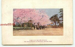 P6303●青森 弘前公園 本丸の桜【絵葉書】