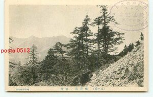 P1513●長野 八ヶ岳 硫黄岳【絵葉書】