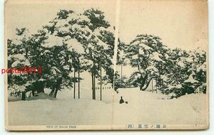 P6295●青森 公園の雪景色【絵葉書】