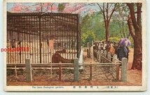 Q7780●東京 上野動物園 ライオン？檻【絵葉書】_画像1