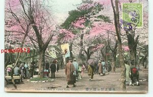 P2041●東京 彩色 上野公園の桜 t 【絵葉書】