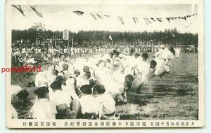 P5550●北海道 旭川区各小学校連合運動会 大正4 その3【絵葉書】