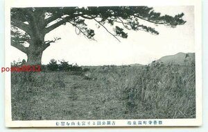 P1902●静岡 修善寺町温泉場 吉原公園より富士山【絵葉書】