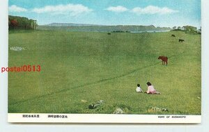R3408●和歌山 串本 潮岬望楼の芝生【絵葉書】