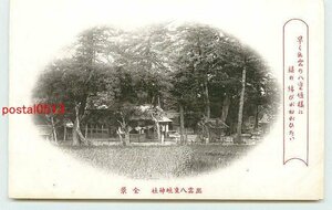 Q4302●島根 出雲 八重垣神社 全景【絵葉書】