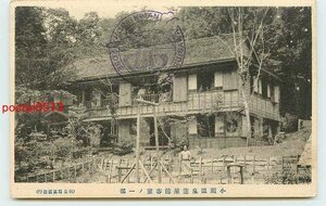 Q3324●長野 小瀬温泉 蓬莱館 客室【絵葉書】