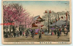 R4743●東京 手彩色 浅草公園の桜【絵葉書】