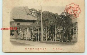 Q5747●群馬 大光院 臥龍の松【絵葉書】