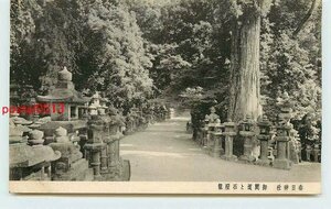 S0519●奈良 春日神社 御間道と石灯籠【絵葉書】