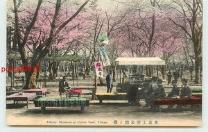 V9039●東京 手彩色 上野公園の桜　桜木亭 t 【絵葉書】