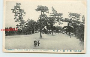 U3852●福岡 博多 西公園の見晴らし【絵葉書】