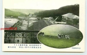 T3858●栃木 那須温泉 松川屋より市街【絵葉書】