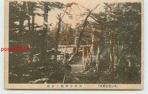 W7387●山梨 富士山　北口登山 吉田小御嶽の茶室【絵葉書】