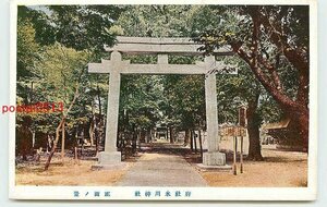 V6579●東京？ 氷川神社 正面【絵葉書】