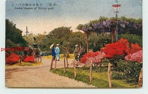 W7127●東京 日比谷公園　躑躅【絵葉書】