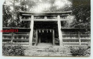 W5006●奈良 大神神社 狭井坐大神荒魂神社【絵葉書】