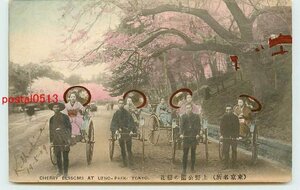 W3435●東京 手彩色 上野公園の桜と人力車【絵葉書】