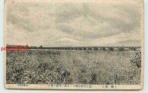 Xb1957●山形 最上川　村山橋【絵葉書】