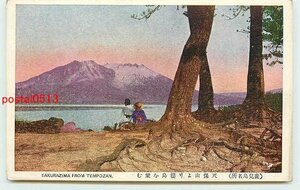 Xa4156●鹿児島 天保山より桜島【絵葉書】