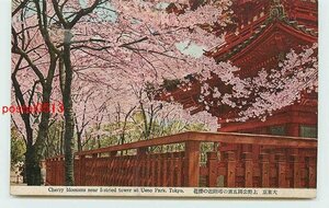 Xd8530●東京 上野公園五重塔と桜【絵葉書】