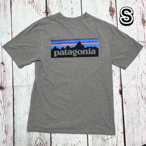 Patagonia パタゴニア マウンテンロゴ バッグプリント Tシャツ S