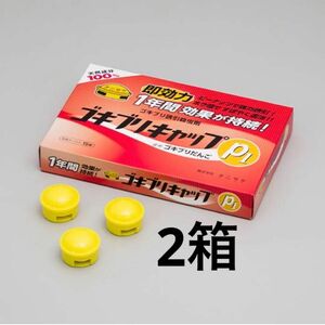タニサケ ゴキブリキャップ p1 15個×2箱 ホウ酸 ピーナッツ