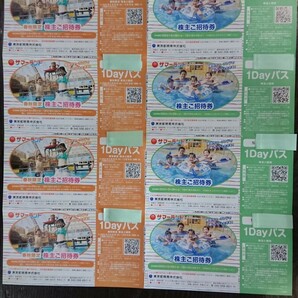 ★東京サマーランドワンデーパス株主ご招待券８枚★ワンデーパスパス４枚・春秋限定ワンデーパスパス４枚の画像1