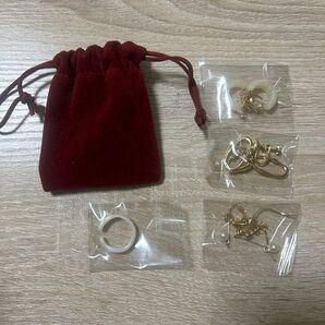 3coins HAPPY BOX 2023 アクセサリー イヤリング