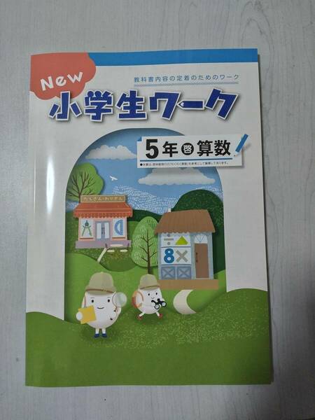 改訂 5年算数 啓林館 NEW 小学生ワーク 塾教材 新品解答解説付き 在庫あり