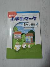 改訂 6年算数 教育出版 NEW 小学生ワーク 塾教材 新品解答解説付き 在庫あり_画像1