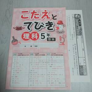 改訂 5年理科 啓林館 NEW 小学生ワーク 塾教材 新品解答解説付き 在庫ありの画像2