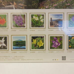 利尻・礼文 悠久自然史 ～夢と花の浮島に抱かれて～ フレーム切手 １シートの画像3